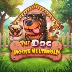 The Dog House Multihold game at Jet4Bet Casino for Australia players